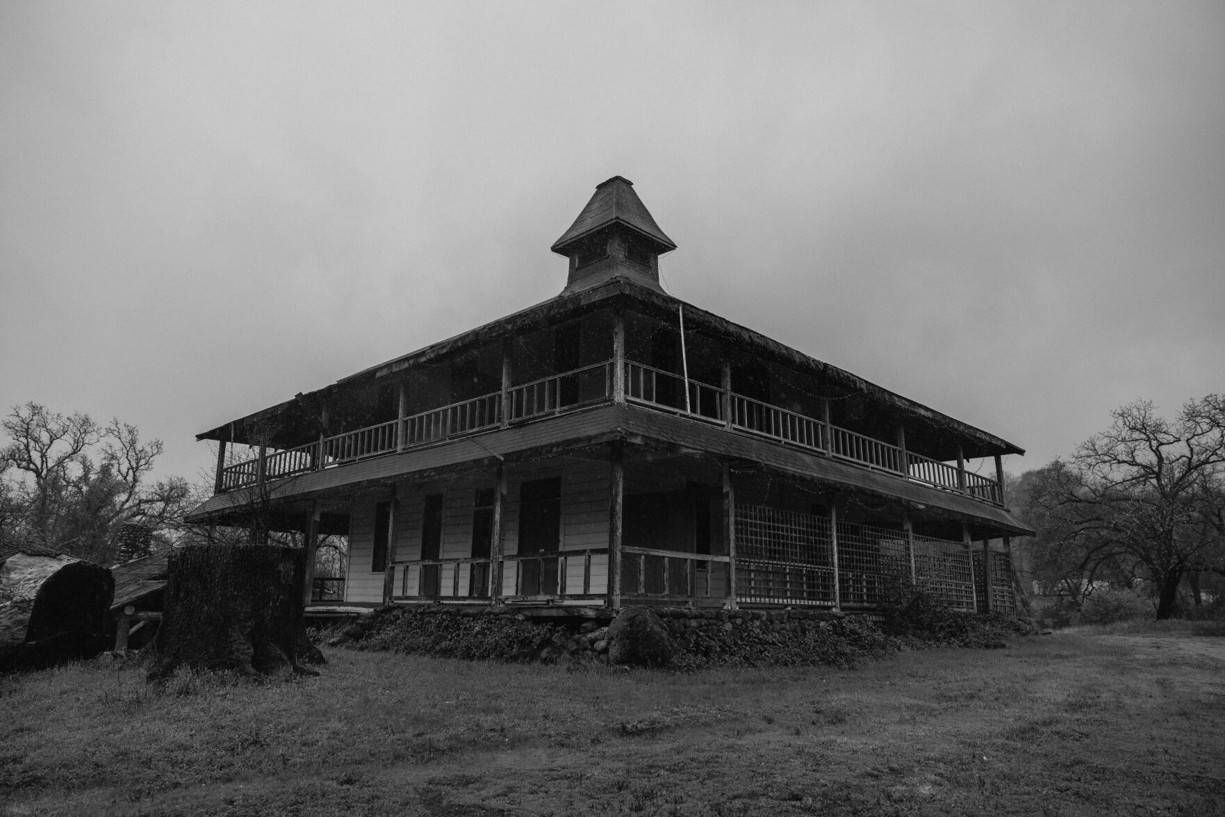 Aetna Springa BW